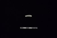 藏品(陶環)的圖片